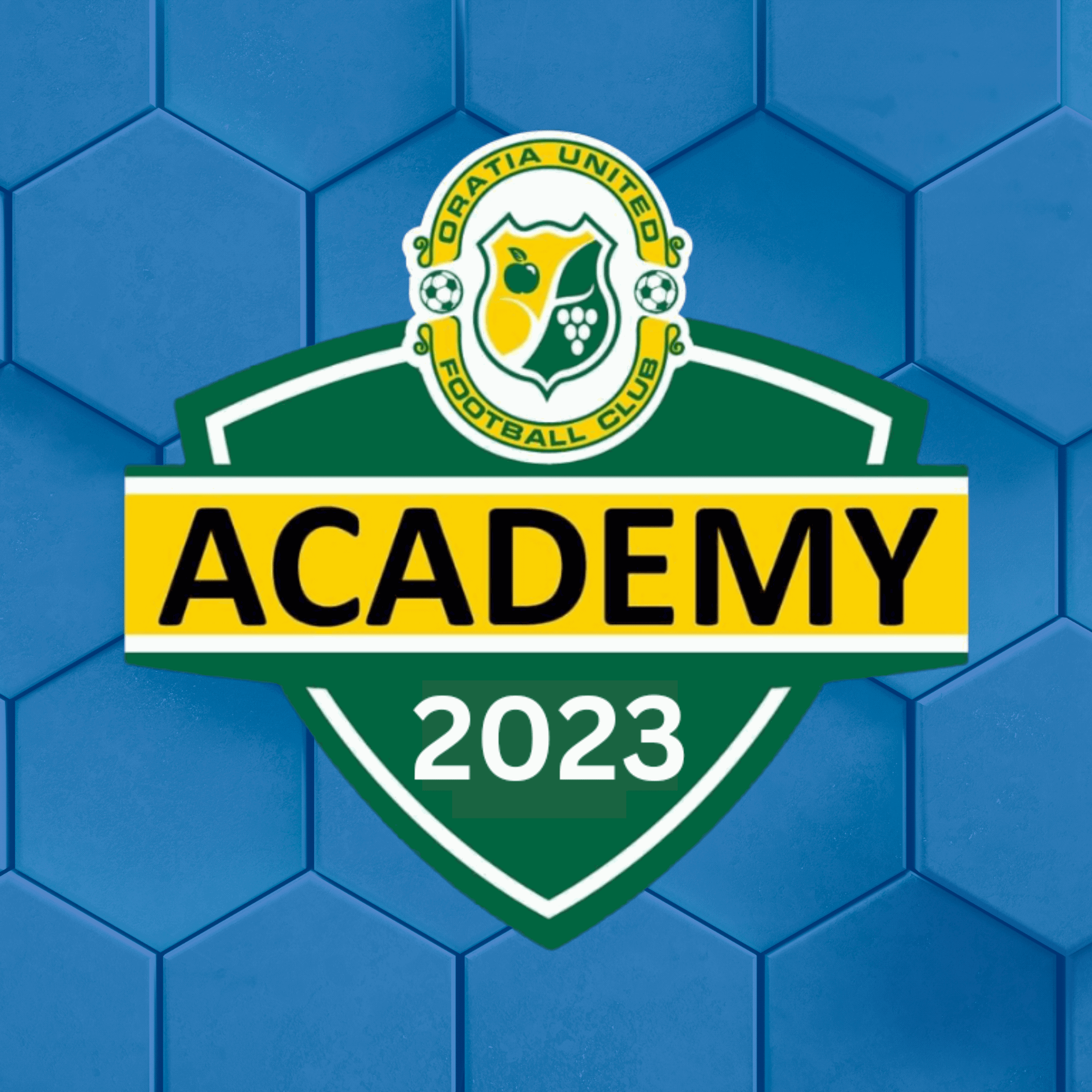 Term 1 Academy Registrations Now OPEN