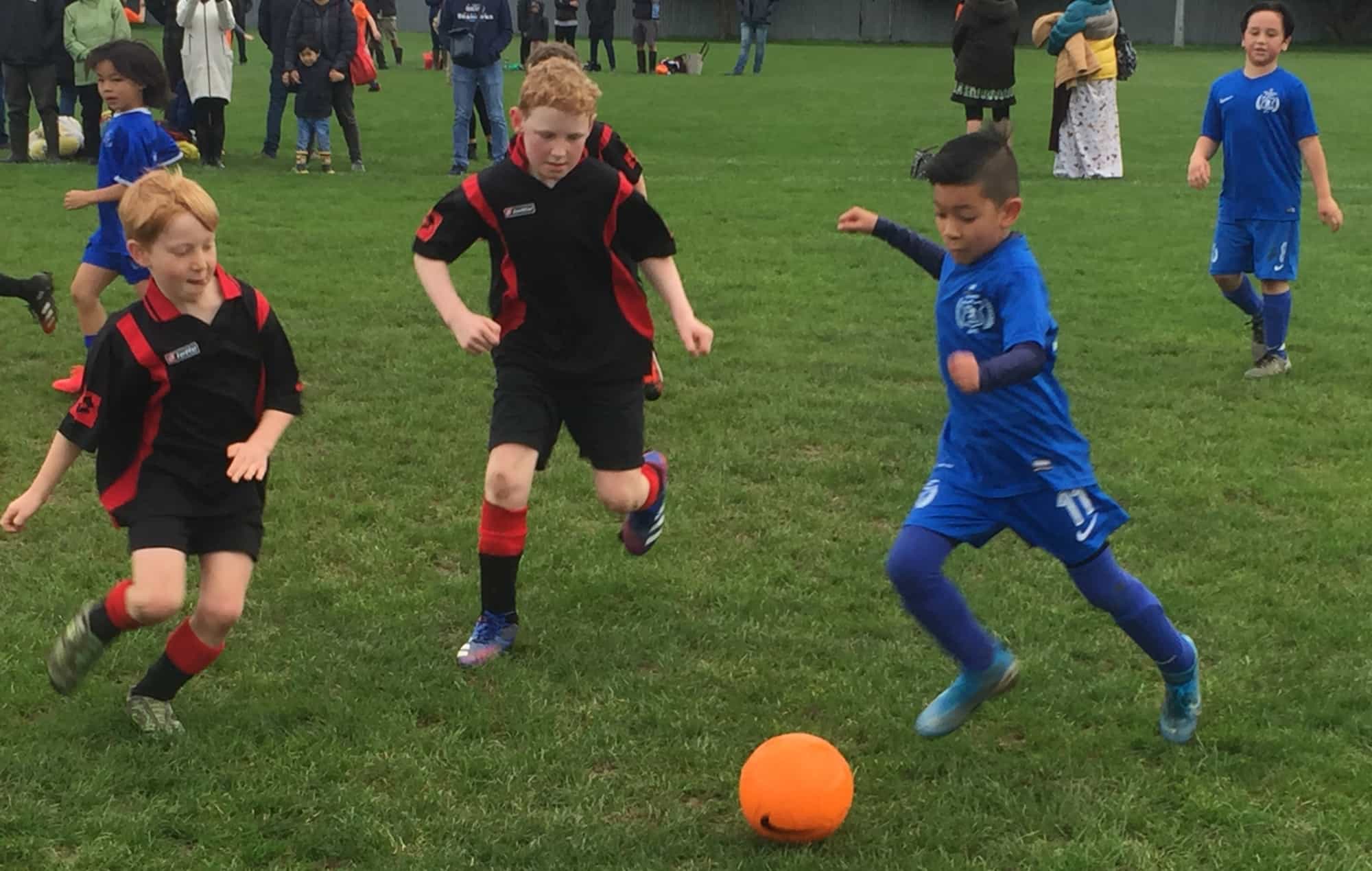 LOOKING FOR JUNIOR PLAYERS looking-for-junior-players