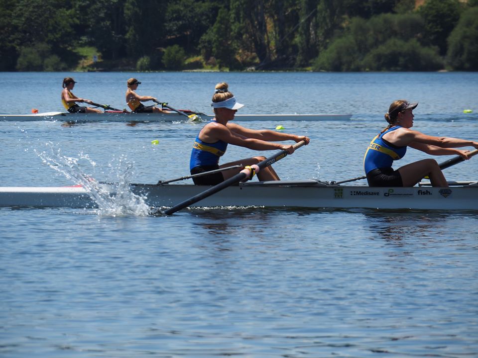 nz tax calendar 2026: Your Essential Guide to New Zealand Tax Deadlines