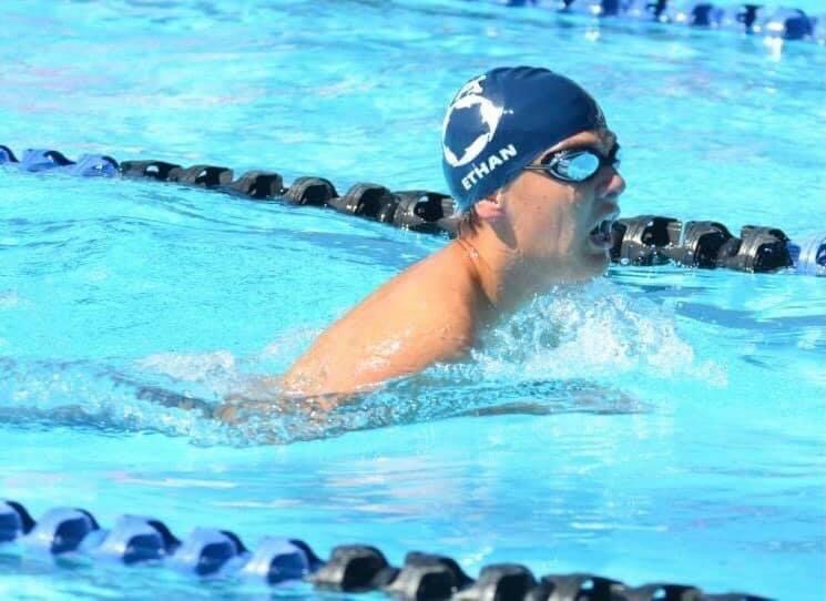 Papakura Swimming Club - Home