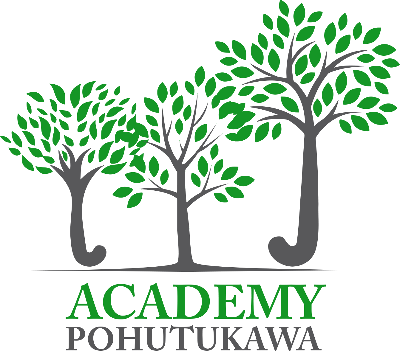 Hockey Manawatu Inc - U15 Pohutukawa Academy