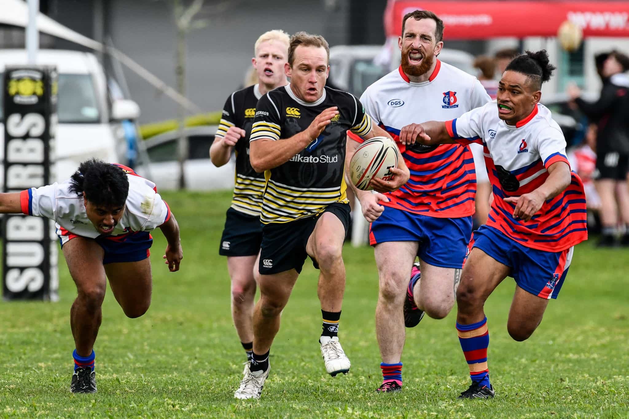 Sea Point Senior Rugby Hinuera Rugby & Sports Inc - SENIOR RUGBY