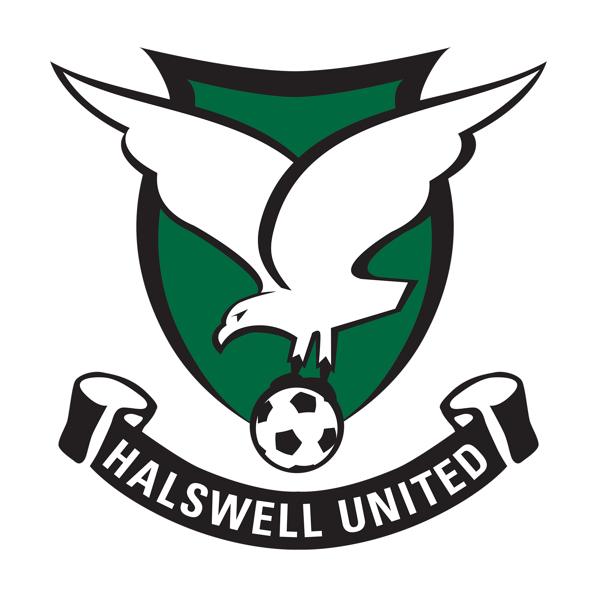 Halswell United AFC - Club History