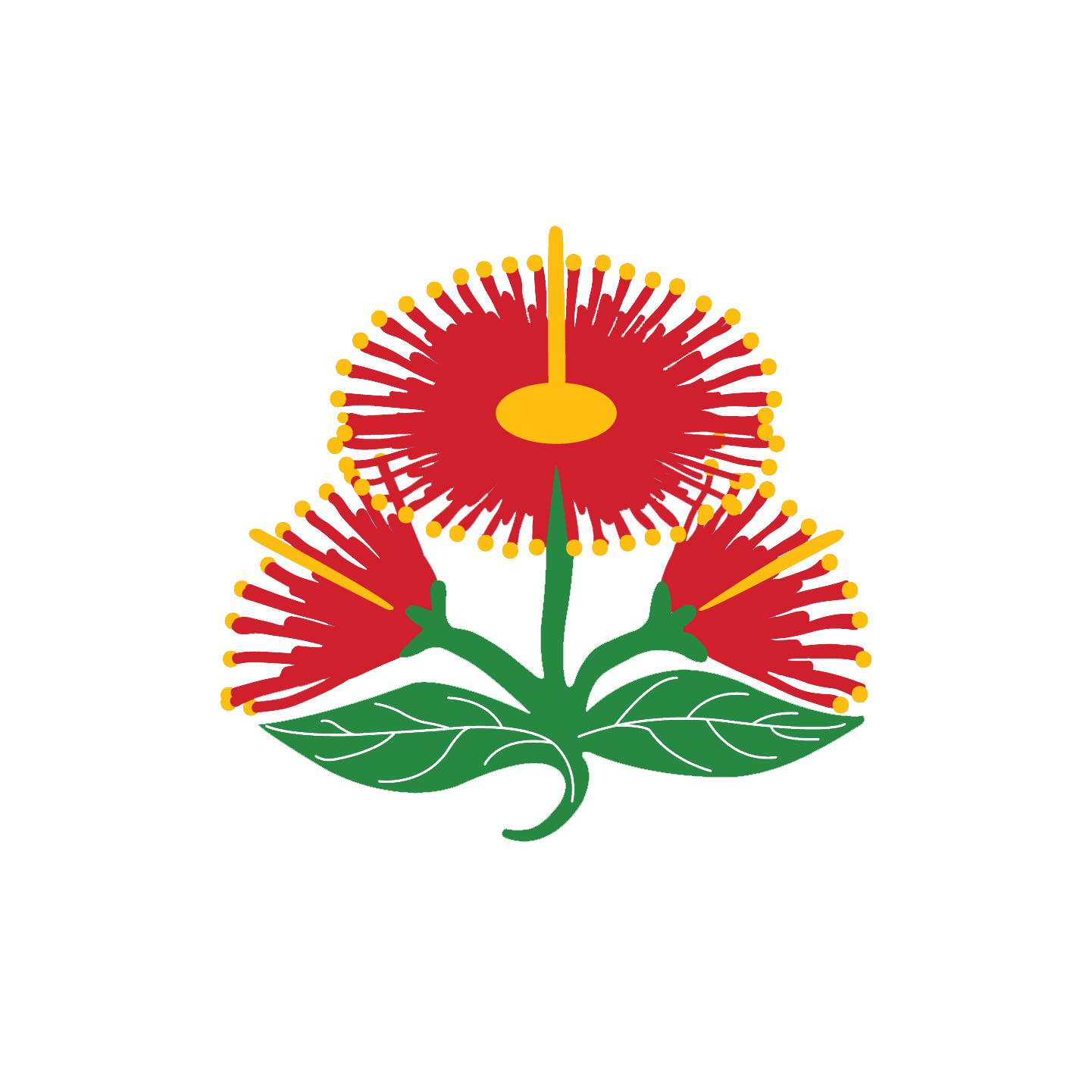 Ngati Porou East Coast Rugby Football Union HOME ngati-porou-east-coast-rugby-football-union-home
